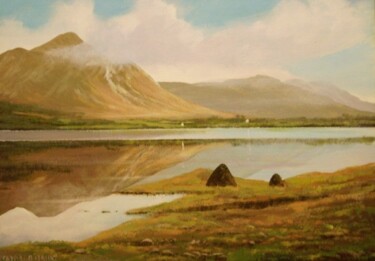 Malarstwo zatytułowany „inagh valley bogland” autorstwa Cathal O Malley, Oryginalna praca