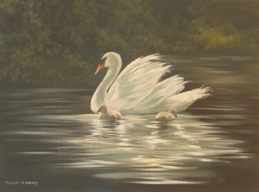 "summer swans" başlıklı Tablo Cathal O Malley tarafından, Orijinal sanat, Akrilik