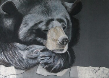 Schilderij getiteld "La sieste de l'ours…" door Catherine Costet (Lccat), Origineel Kunstwerk, Pastel