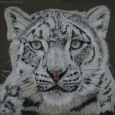 Peinture intitulée "Le léopard 2" par Catherine Costet (Lccat), Œuvre d'art originale, Pastel
