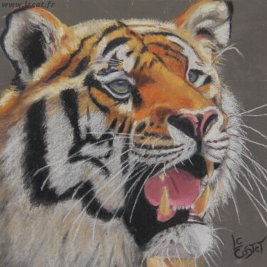 Schilderij getiteld "Le tigre" door Catherine Costet (Lccat), Origineel Kunstwerk, Pastel