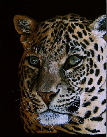 Ζωγραφική με τίτλο "leopard-aux-aguets1…" από Catherine Digue - Turpin, Αυθεντικά έργα τέχνης, Γκουάς