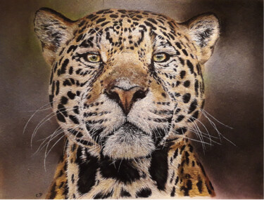 제목이 "moi, jaguar d'Amazo…"인 미술작품 Catherine Digue - Turpin로, 원작, 구아슈