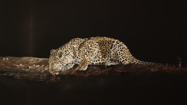 Peinture intitulée "léopard assoiffé" par Catherine Digue - Turpin, Œuvre d'art originale, Gouache