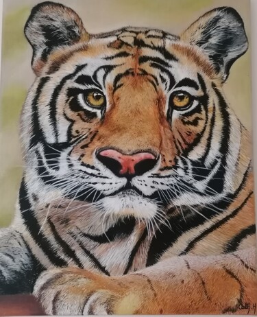 Peinture intitulée "Tigre de Bengale" par Catherine Husson, Œuvre d'art originale, Acrylique Monté sur Châssis en bois