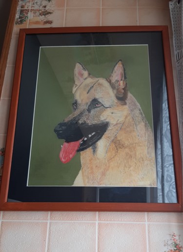 Peinture intitulée "berger allemand" par Catherine Willaumez, Œuvre d'art originale, Pastel