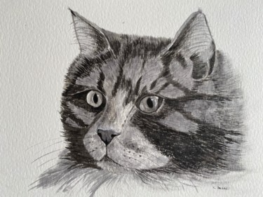 Painting titled "PORTRAIT de CHAT en…" by Cathou-Bazec, Original Artwork, Ink