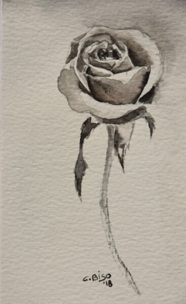 Картина под названием "Rosa#5" - Catia Biso, Подлинное произведение искусства, Акварель