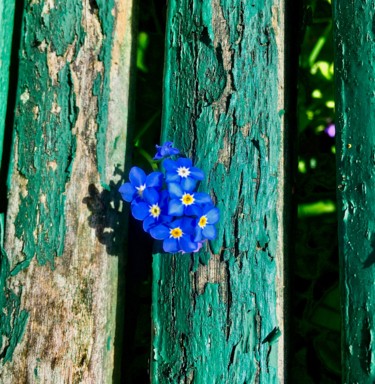 Photographie intitulée "printemps" par Cecilia Teodoru, Œuvre d'art originale