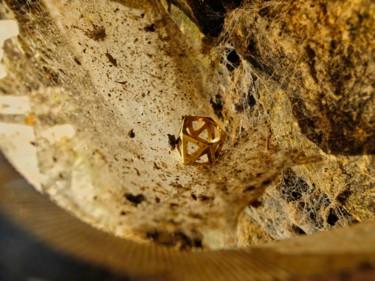 Photographie intitulée "LA BAGUE" par Cecilia Teodoru, Œuvre d'art originale