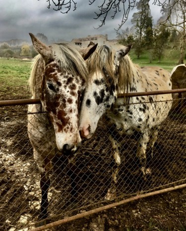 Photographie intitulée "LES AMIS" par Cecilia Teodoru, Œuvre d'art originale