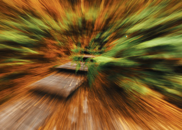 Photography titled "Escalier de forêt" by Céline Pivoine Eyes, Original Artwork, Digital Photography