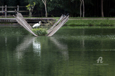 Фотография под названием "Heron's Nest" - Celso Lobo, Подлинное произведение искусства, Цифровая фотография