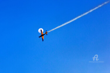 Фотография под названием "Fly" - Celso Lobo, Подлинное произведение искусства, Цифровая фотография