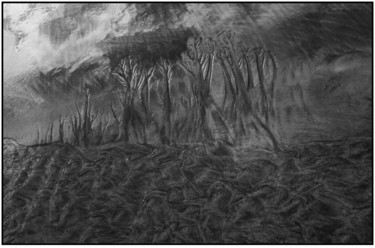 Photographie intitulée "Sur le sable mouill…" par Chail, Œuvre d'art originale
