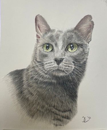 Drawing titled "Russian Blue Cat" by Johan De Champs, Original Artwork, Pencil