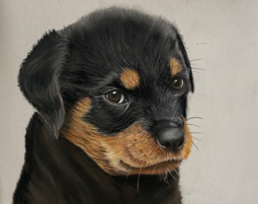 Peinture intitulée "Rottweiler puppy" par Johan De Champs, Œuvre d'art originale, Pastel