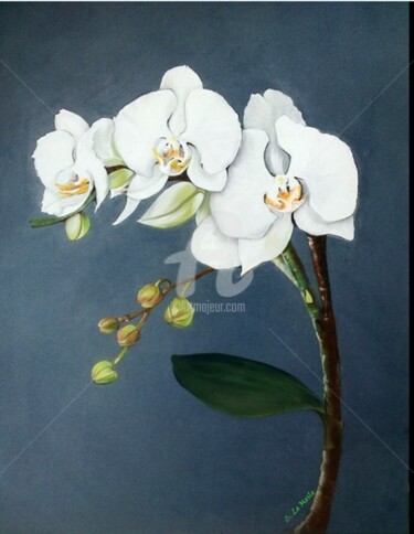 Pittura intitolato "Les Orchidées" da Chantal Le Mesle, Opera d'arte originale, Pastello
