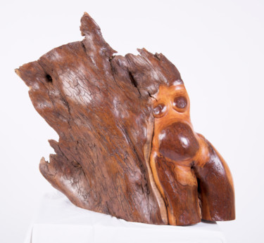 Sculpture titled "Vénus" by Roberto Barata, Original Artwork, Wood