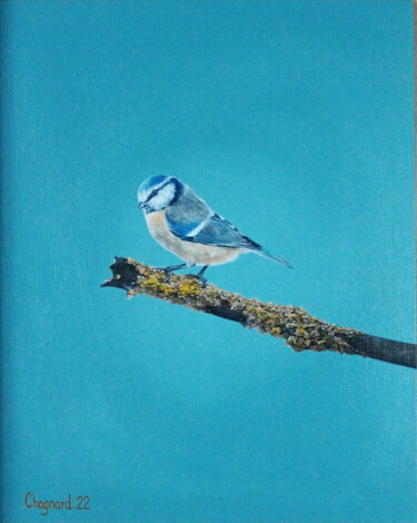 Картина под названием "La Mésange bleue" - Charlène Chagnard, Подлинное произведение искусства, Масло Установлен на картон