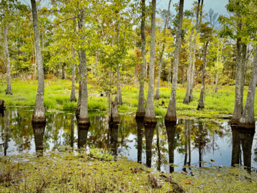 Photography titled "October on the Bayou" by Charlotte Daigle, Original Artwork, Digital Photography