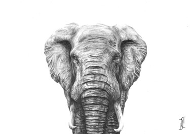 Drawing titled "Eléphant" by Charlotte Derquin, Original Artwork, Pencil