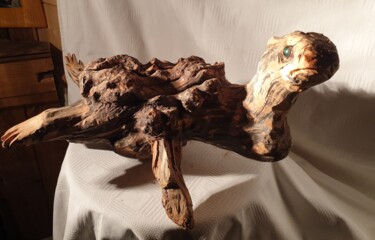Sculpture titled "Tortue" by Charly Carpentier, Original Artwork, Wood