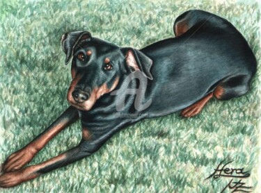 Malerei mit dem Titel "Dobermann" von Arts & Dogs, Original-Kunstwerk, Öl