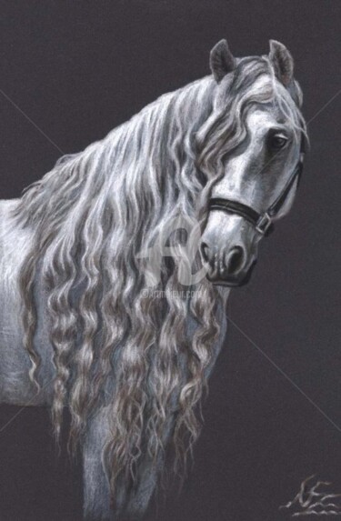 Painting titled "Andalusian Horse" by Arts & Dogs, Original Artwork, Oil