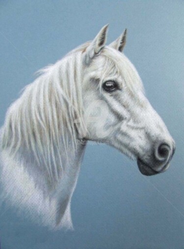Peinture intitulée "White Stallion" par Arts & Dogs, Œuvre d'art originale, Huile