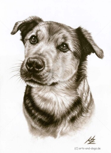Pintura intitulada "Dogs Eyes" por Arts & Dogs, Obras de arte originais, Óleo