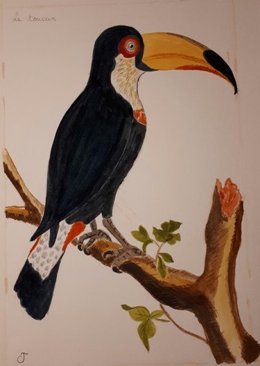 Pittura intitolato "le toucan" da Chris Texier, Opera d'arte originale, Acquarello