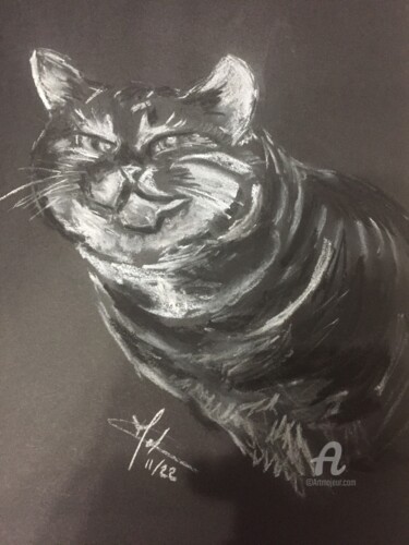 Dibujo titulada "Le chat" por Christel, Obra de arte original, Pastel Montado en artwork_cat.