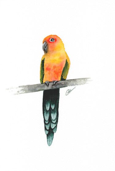 Pintura intitulada "Ce perroquet, quel…" por Christelle Lachambre, Obras de arte originais, Aquarela