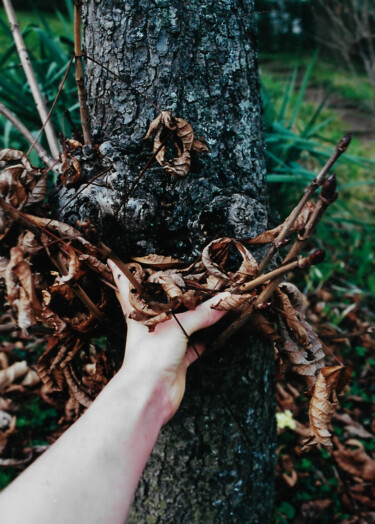 Photographie intitulée "Enracinement.jpeg" par Christelle Marini, Œuvre d'art originale