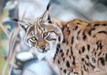 Drawing titled "Lynx eurasien" by Christian Grosse, Original Artwork, Pastel