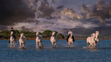 Photographie intitulée "Camargue" par Christian Testaniere, Œuvre d'art originale, Photographie numérique