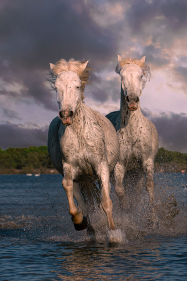 Photographie intitulée "Camargue éternelle" par Christian Testaniere, Œuvre d'art originale, Photographie numérique