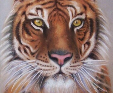 Peinture intitulée "Tigre des neiges" par Christiane Guilleminot, Œuvre d'art originale, Pastel