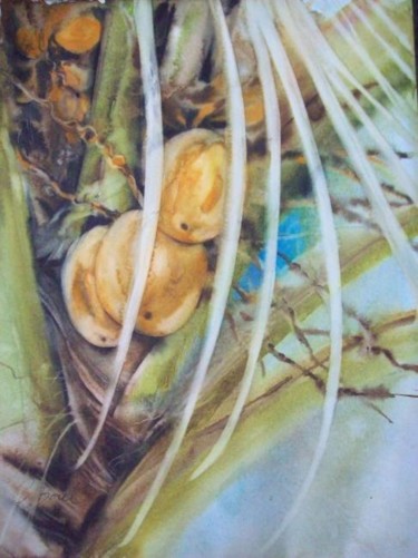 Ζωγραφική με τίτλο "le palmier coco ( î…" από Christiane Borel, Αυθεντικά έργα τέχνης, Ακουαρέλα