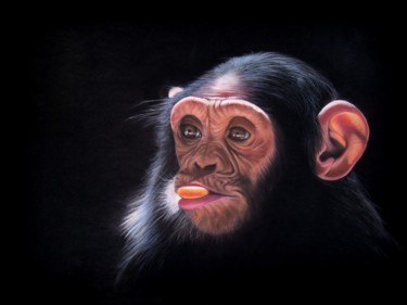 Painting titled "sunny monkey" by Christine Mergnat, Original Artwork, Pastel