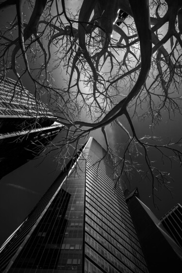 Fotografia intitulada "Hudson Yards, Manha…" por Christophe Aubry, Obras de arte originais, Fotografia digital