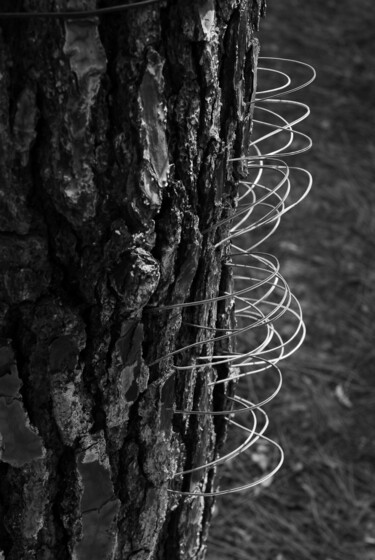 Photographie intitulée "Aiguilles" par Christophe Jeanjean, Œuvre d'art originale, Photographie numérique