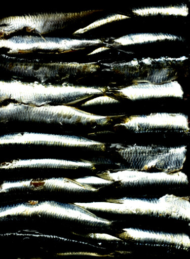 Photographie intitulée "Sardines" par Christophe Jeanjean, Œuvre d'art originale, Photographie numérique