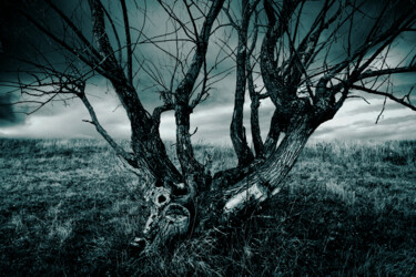 Digitale Kunst getiteld "The Wailing Tree" door Christopher Hanz, Origineel Kunstwerk, Digitale fotografie