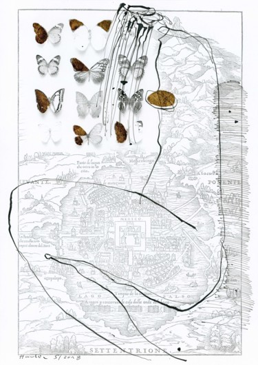 Disegno intitolato "Butterflies" da Jiri Havlik, Opera d'arte originale, Inchiostro