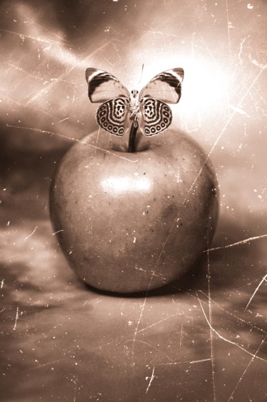 Photography titled "the apple" by Gaudi .C, Original Artwork, Manipulated Photography