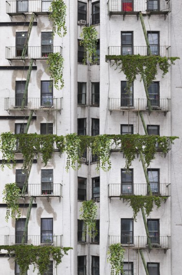 "the green building" başlıklı Fotoğraf Gaudi .C tarafından, Orijinal sanat, Dijital Fotoğrafçılık