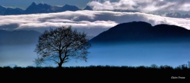 Photographie intitulée "Plaine de la Bièvre…" par Claire Tresse, Œuvre d'art originale, Photographie numérique