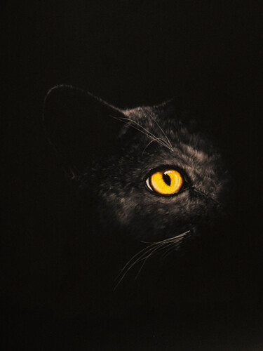 Картина под названием "Lumière dans la nuit" - Claire Vogel, Подлинное произведение искусства, Акрил